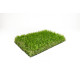 Συνθετικός χλοοτάπητας MANHATAN ΥΨΟΣ 50mm ΠΛΑΤΟΣ 400cm Χ ΜΗΚΟΣ 25m Συνθετικός χλοοτάπητας MANHATAN ΥΨΟΣ 50mm ΠΛΑΤΟΣ 400cm Χ ΜΗΚΟΣ 25m