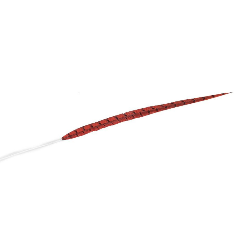 ΦΤΕΡΟ ΚΟΚΚΙΝΟ 90ΕΚ FTE220K6