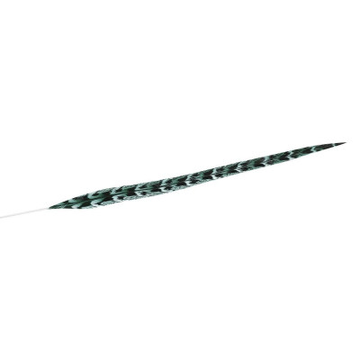 ΦΤΕΡΟ ΠΡΑΣΙΝΟ 70ΕΚ FTE226K6