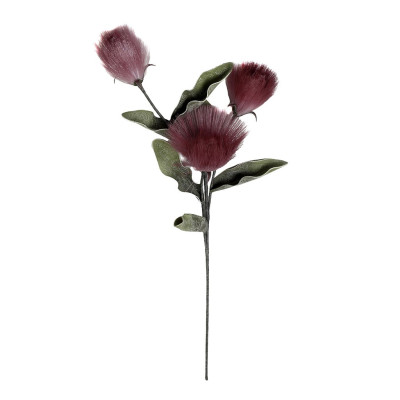 ΛΟΥΛΟΥΔΙ PAMPASS ΜΩΒ 105ΕΚ. MAP142K6