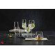 ALLEGRA CHAMPAGNE 195CC H: 22,6 D: 7 P/750 FLX6 (smFB) SP440079K6
