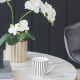 Artekko Artekko Iqorser Κούπες Bone China Πορσελάνη Λευκό/Μαύρο (10x13.5x9)cm Σετ/4 1347