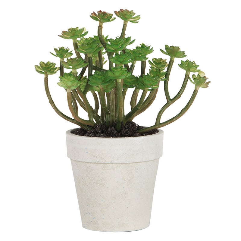 Artekko Artekko Διακοσμητικό Τεχνητό Παχύφυτο σε Γλαστράκι 18cm 29980