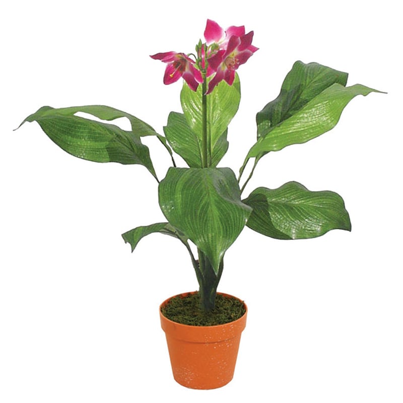 Artekko Artekko Aklindao Τεχνητή Ορχιδέα 85cm 6-0051
