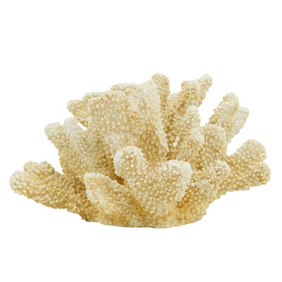 Artekko Artekko Coral Μπεζ Διακοσμητικό Κοράλλι Ρητίνης (22x17x14)cm 70536