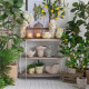 Artekko Artekko Lemon Tree Πράσινο Τεχνητό Δέντρο Λεμονιάς σε Μαύρη Γλάστρα (30x30x80)cm A5744