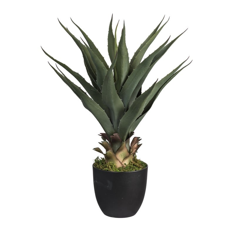 Artekko Artekko Saip Τεχνητή Αλόη σε Κασπώ (55x55x66)cm F4528