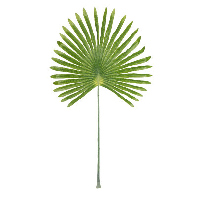Artekko Artekko Faux Τεχνητό Φύλλο Φοίνικα Πλαστικό Ύφασμα Πράσινο (59x3x103)cm F4532-LTGR