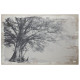 Artekko Artekko Arboreal Πίνακας Καμβάς Ξύλο Καμβάς Γκρι (150x3.8x100)cm JC38789