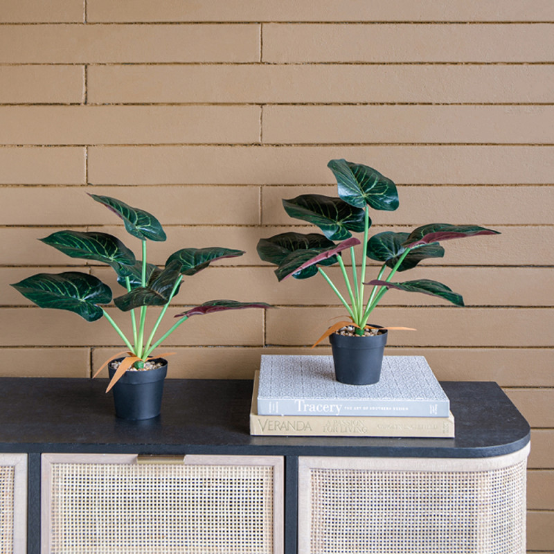 Artekko Artekko Faux Τεχνητή Αλοκασία σε Γλάστρα Πλαστικό Πράσινο Μαύρο (41x17x41)cm Σετ/2 SA11652