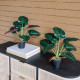 Artekko Artekko Faux Τεχνητή Αλοκασία σε Γλάστρα Πλαστικό Πράσινο Μαύρο (41x17x41)cm Σετ/2 SA11652