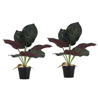 Artekko Artekko Faux Τεχνητή Αλοκασία σε Γλάστρα Πλαστικό Πράσινο Μαύρο (41x17x41)cm Σετ/2 SA11652