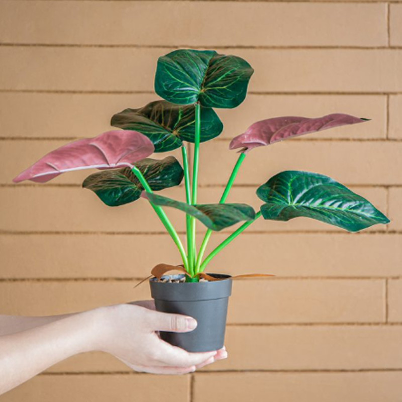 Artekko Artekko Faux Τεχνητή Αλοκασία σε Γλάστρα Πλαστικό Πράσινο Μαύρο (41x17x41)cm Σετ/2 SA11652