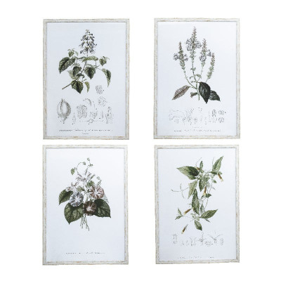 Artekko Artekko Botanical Καδράκια Τοίχου Λουλούδια Σετ/4 (50x3x70)cm SA80033