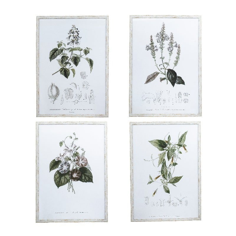 Artekko Artekko Botanical Καδράκια Τοίχου Λουλούδια Σετ/4 (50x3x70)cm SA80033