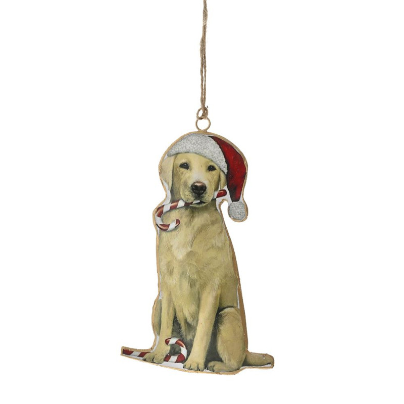 ΜΕΤΑΛΛΙΚΟ ΣΚΥΛΑΚΙ ΚΡΕΜΑΣΤΟ ΣΤΟΛΙΔΙ 10x16EK ΜΕΤΑΛΛΙΚΟ ΣΚΥΛΑΚΙ ΚΡΕΜΑΣΤΟ ΣΤΟΛΙΔΙ 10x16EK