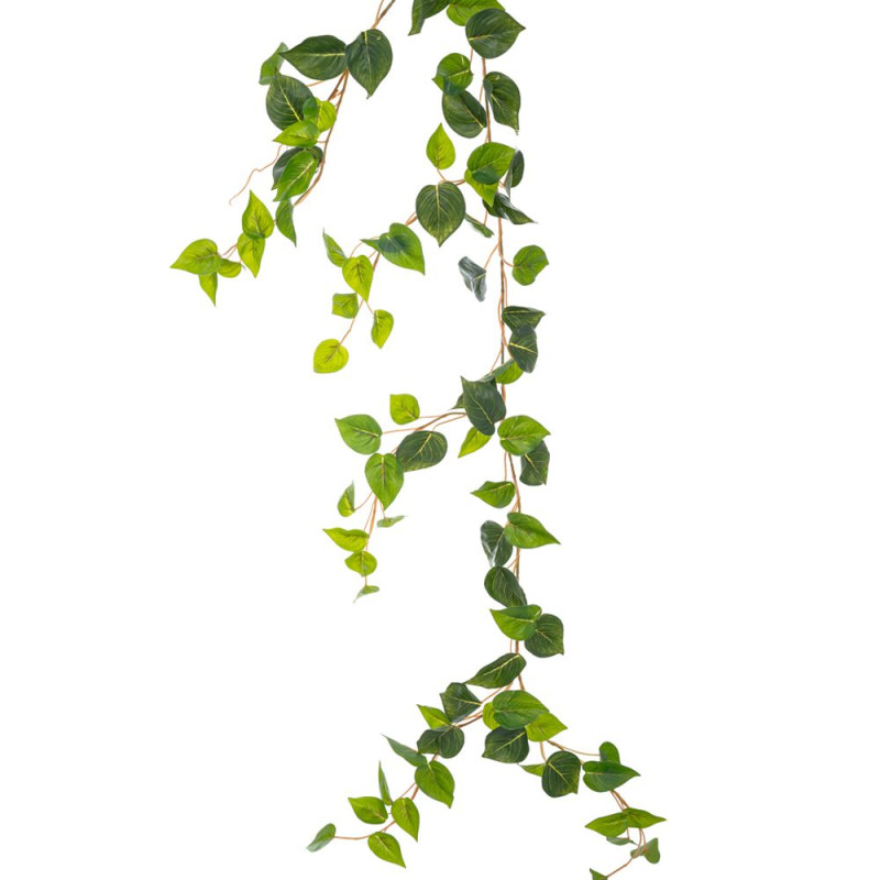 ΓΙΡΛΑΝΤΑ ΠΟΘΟΣ COATED 2ΜΕΤΡΑ ΜΕ ΠΑΡΑΚΛΑΔΙΑ