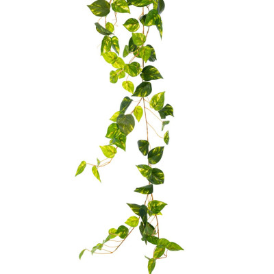 ΓΙΡΛΑΝΤΑ ΠΡΑΣΙΝΟΣ ΚΙΣΣΟΣ 2ΜΕΤΡΑ ΜΕ ΠΑΡΑΚΛΑΔΙΑ