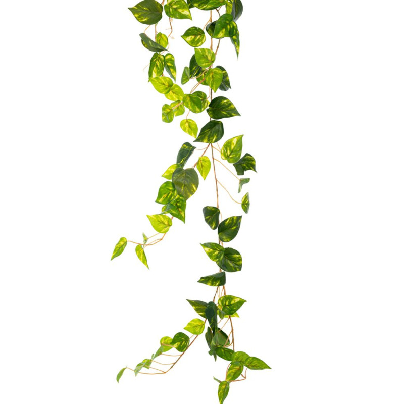 ΓΙΡΛΑΝΤΑ ΠΡΑΣΙΝΟΣ ΚΙΣΣΟΣ 2ΜΕΤΡΑ ΜΕ ΠΑΡΑΚΛΑΔΙΑ ΓΙΡΛΑΝΤΑ ΠΡΑΣΙΝΟΣ ΚΙΣΣΟΣ 2ΜΕΤΡΑ ΜΕ ΠΑΡΑΚΛΑΔΙΑ