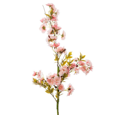 ΡΟΖ ΚΛΑΔΙ ΑΜΥΓΔΑΛΙΑ 85ΕΚ