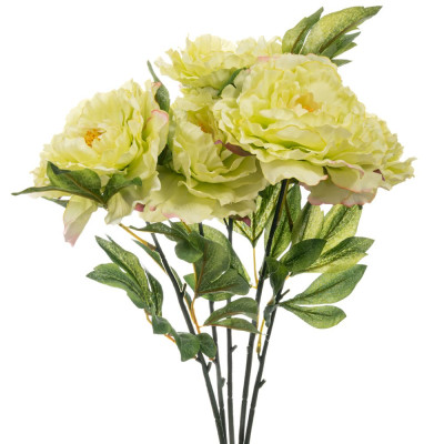 ΛΑΧΑΝΙ ΜΠΟΥΚΕΤΟ ΧΡΥΣΑΝΘΕΜΟ 55ΕΚ Χ5