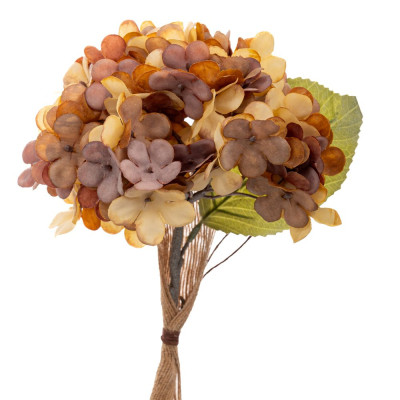 ΣΟΜΩΝ ΚΛΑΔΙ ΟΡΤΑΝΣΙΑ 33ΕΚ