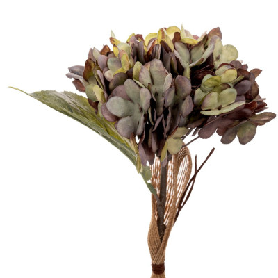 ΛΙΛΑ ΚΛΑΔΙ ΟΡΤΑΝΣΙΑ 33ΕΚ