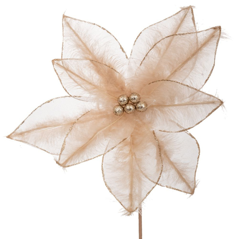 ΣΑΜΠΑΝΙ ΑΛΕΞΑΝΔΡΙΝΟ ΚΛΑΔΙ ΜΕ ΠΟΥΠΟΥΛΑ Φ28Χ40ΕΚ