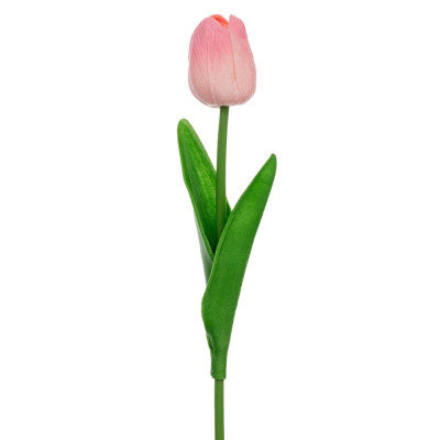 ΡΟΖ ΚΛΑΔΙ ΤΟΥΛΙΠΑ 33ΕΚ