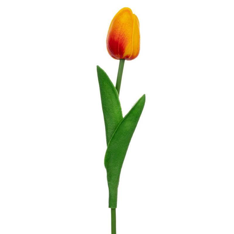 ΠΟΡΤΟΚΑΛΙ ΚΛΑΔΙ ΤΟΥΛΙΠΑ 33ΕΚ