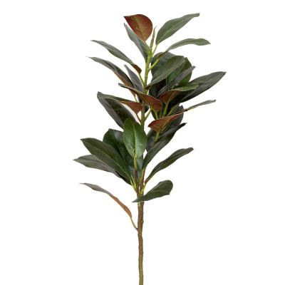 ΠΡΑΣΙΝΟ ΚΛΑΔΙ ΦΙΚΟΣ ΓΙΓΑΣ 135ΕΚ