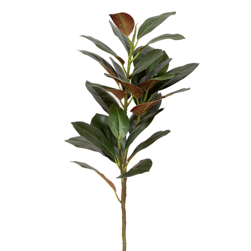 ΠΡΑΣΙΝΟ ΚΛΑΔΙ ΦΙΚΟΣ ΓΙΓΑΣ 95ΕΚ