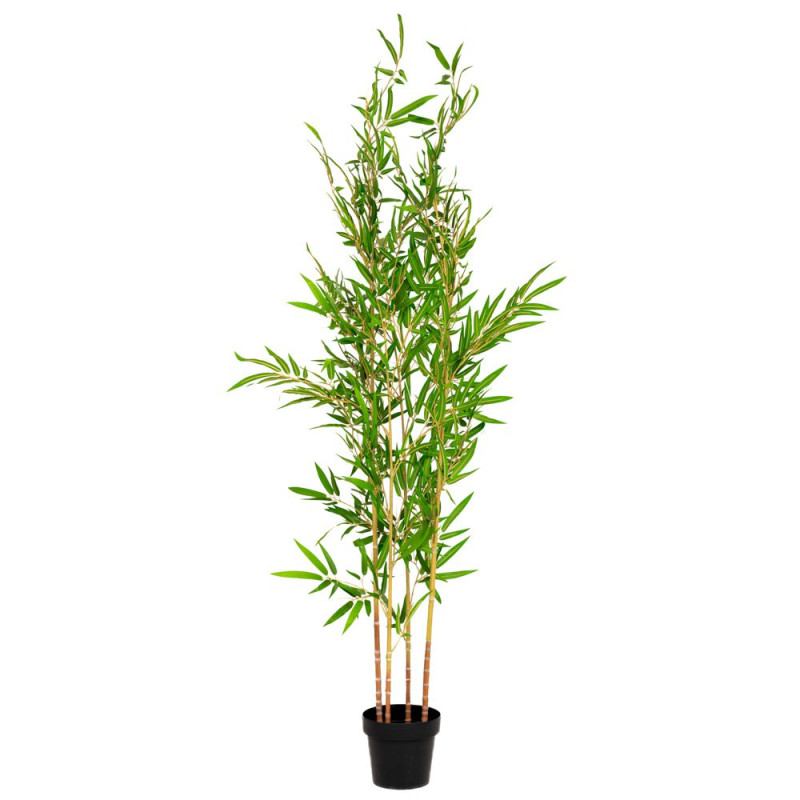 ΜΠΑΜΠΟΥ ΦΥΤΟ 185ΕΚ ΜΕ UV KAI FIRE PROTECTION (ΒΡΑΔΥΚΑΥΣΤΟ)