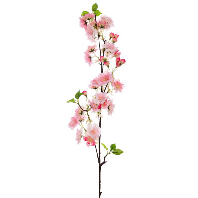 ΡΟΖ ΡΟΔΑΚΙΝΙΑ ΚΛΑΔΙ 100ΕΚ ΜΕ UV ΠΡΟΣΤΑΣΙΑ ΡΟΖ ΡΟΔΑΚΙΝΙΑ ΚΛΑΔΙ 100ΕΚ ΜΕ UV ΠΡΟΣΤΑΣΙΑ