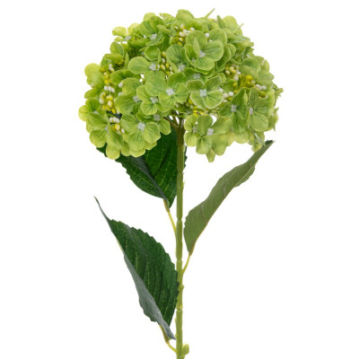 ΚΛΑΔΙ ΜΕ ΠΡΑΣΙΝΗ ΟΡΤΑΝΣΙΑ REAL TOUCH Φ18Χ61,5ΕΚ