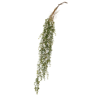 ΚΡΕΜΑΣΤΗ ΡΙΖΑ ΕΥΚΑΛΥΠΤΟΣ 100ΕΚ ΠΡΑΣΙΝΗ