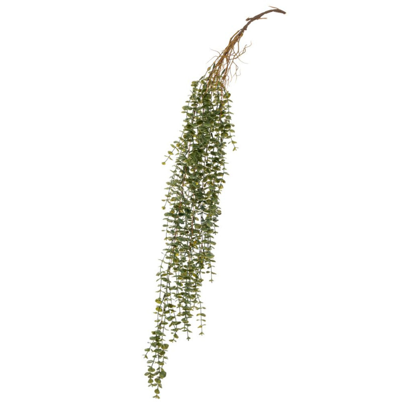 ΚΡΕΜΑΣΤΗ ΡΙΖΑ ΕΥΚΑΛΥΠΤΟΣ 100ΕΚ ΠΡΑΣΙΝΗ