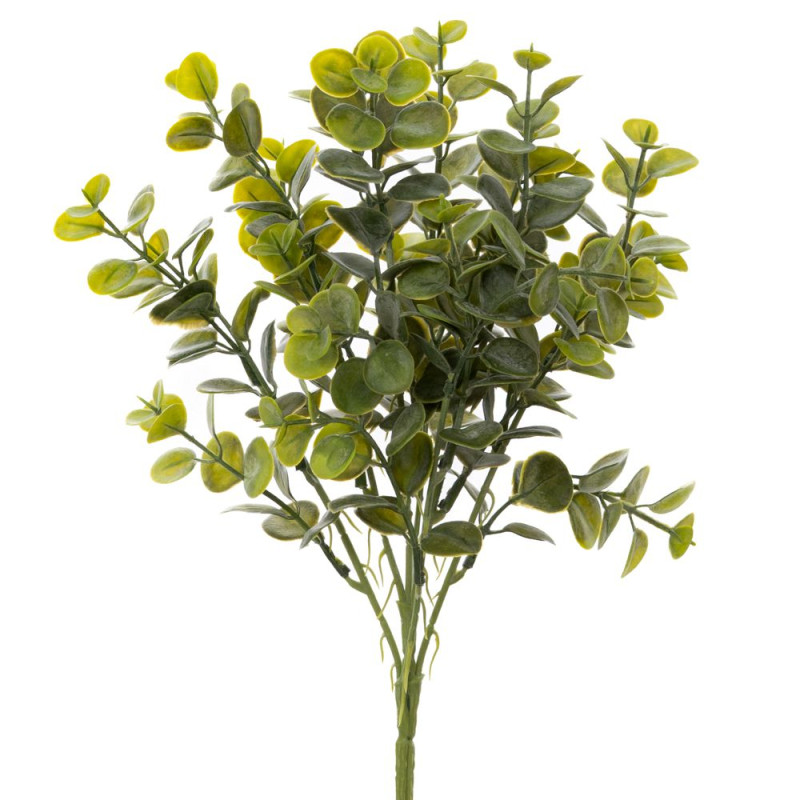 ΡΙΖΑ ΕΥΚΑΛΥΠΤΟΣ 40ΕΚ ΠΡΑΣΙΝΗ