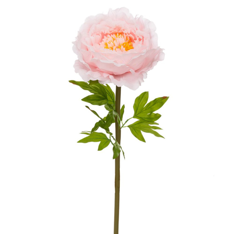 ΓΙΓΑΣ ΚΛΑΔΙ ΜΕ ΑΝΟΙΧΤΗ ΡΟΖ ΠΑΙΩΝΙΑ 38Χ38Χ115ΕΚ