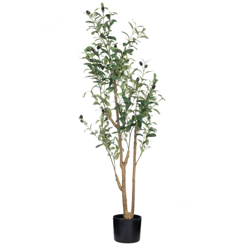 ΔΕΝΤΡΟ ΕΛΙΑΣ ΣΕ ΠΛΑΣΤΙΚΟ ΚΑΣΠΩ 124ΕΚ ΔΙΑ15Χ13ΕΚ