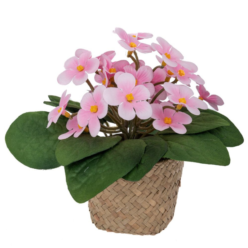 ΜΑΡΓΑΡΙΤΕΣ ΡΟΖ 17ΕΚ ΣΕ SEAGRASS ΚΑΣΠΩ Φ9Χ7