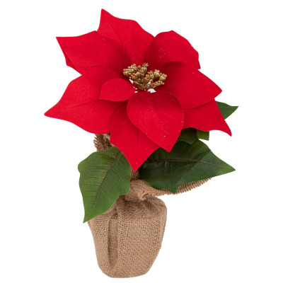 ΚΟΚΚΙΝΟ ΑΛΕΞΑΝΔΡΙΝΟ ΓΛΑΣΤΡΑΚΙ  ΣΕ ΤΣΟΥΒΑΛΙ 8Χ24ΕΚ