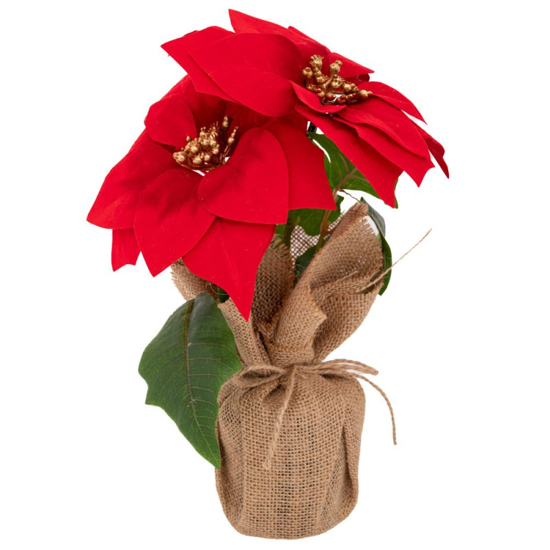 ΚΟΚΚΙΝΟ ΑΛΕΞΑΝΔΡΙΝΟ ΓΛΑΣΤΡΑΚΙ  ΣΕ ΤΣΟΥΒΑΛΙ 9Χ27ΕΚ