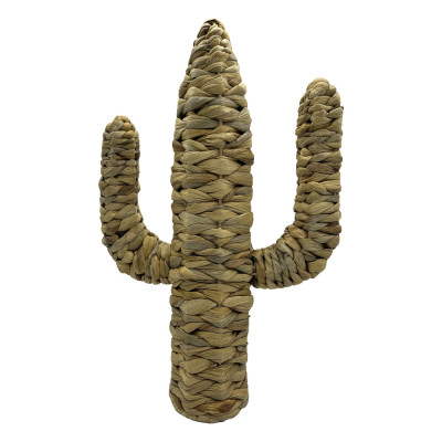 ΔΙΑΚΟΣΜΗΤΙΚΟΣ ΚΑΚΤΟΣ Φ30x47cm