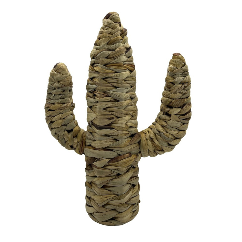 ΔΙΑΚΟΣΜΗΤΙΚΟΣ ΚΑΚΤΟΣ Φ28x40cm