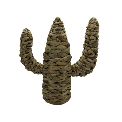 ΔΙΑΚΟΣΜΗΤΙΚΟΣ ΚΑΚΤΟΣ Φ25x29cm