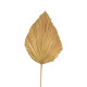 Διακοσμητικό φύλλο Walsy Inart palm leaf σε φυσική απόχρωση Υ135 εκ