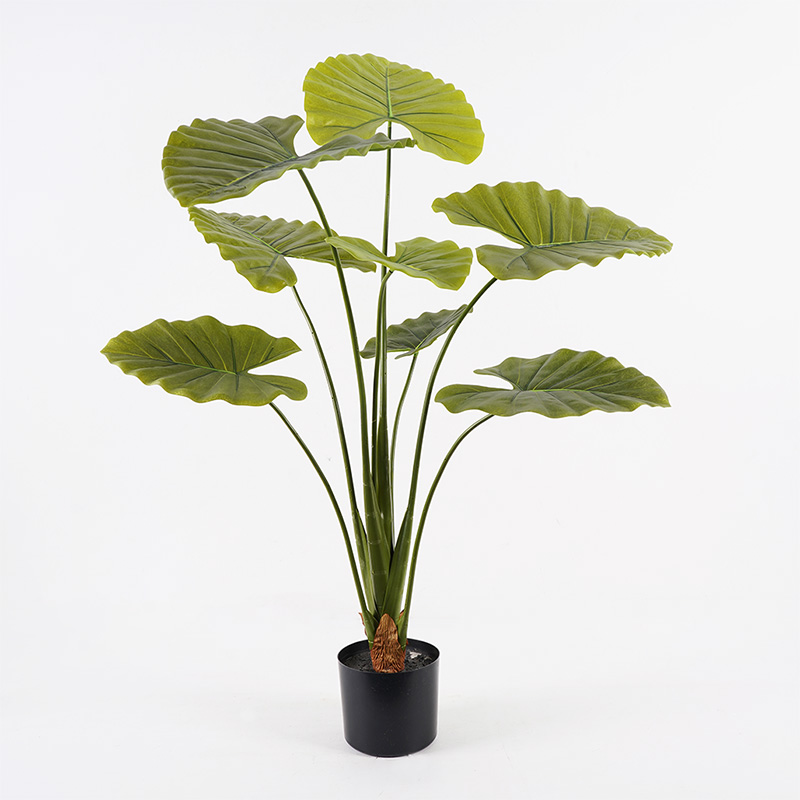 Διακοσμητικό φυτό σε γλάστρα Alocasia Inart πράσινο Φ90x120εκ