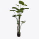 Διακοσμητικό φυτό σε γλάστρα Taro Plant Inart πράσινο Φ90x180εκ