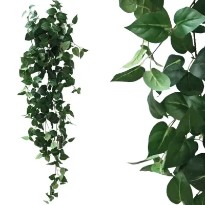 ΡΙΖΑ ΚΡΕΜΑΣΤΗ ΠΟΘΟΣ ΠΡΑΣΙΝΟΣ Y130cm 1/50KIB ΡΙΖΑ ΚΡΕΜΑΣΤΗ ΠΟΘΟΣ ΠΡΑΣΙΝΟΣ Y130cm 1/50KIB